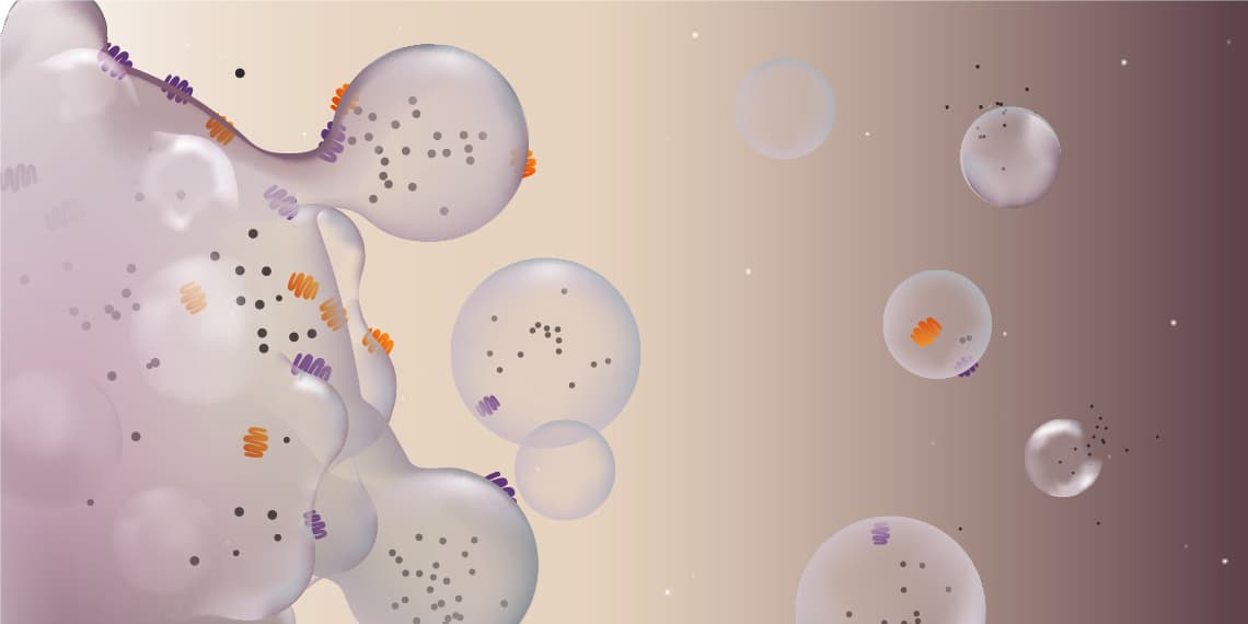 Can extracellular vesicles be used as a novel diagnostic and research tool for patients with hypertension and kidney disease?