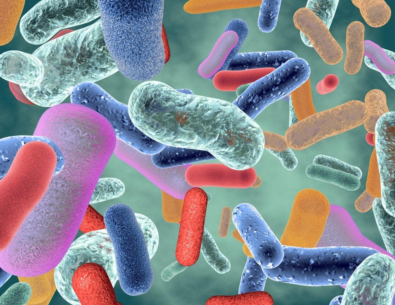 Microbiome Mediated Drug Interactions in Parkinson’s Disease