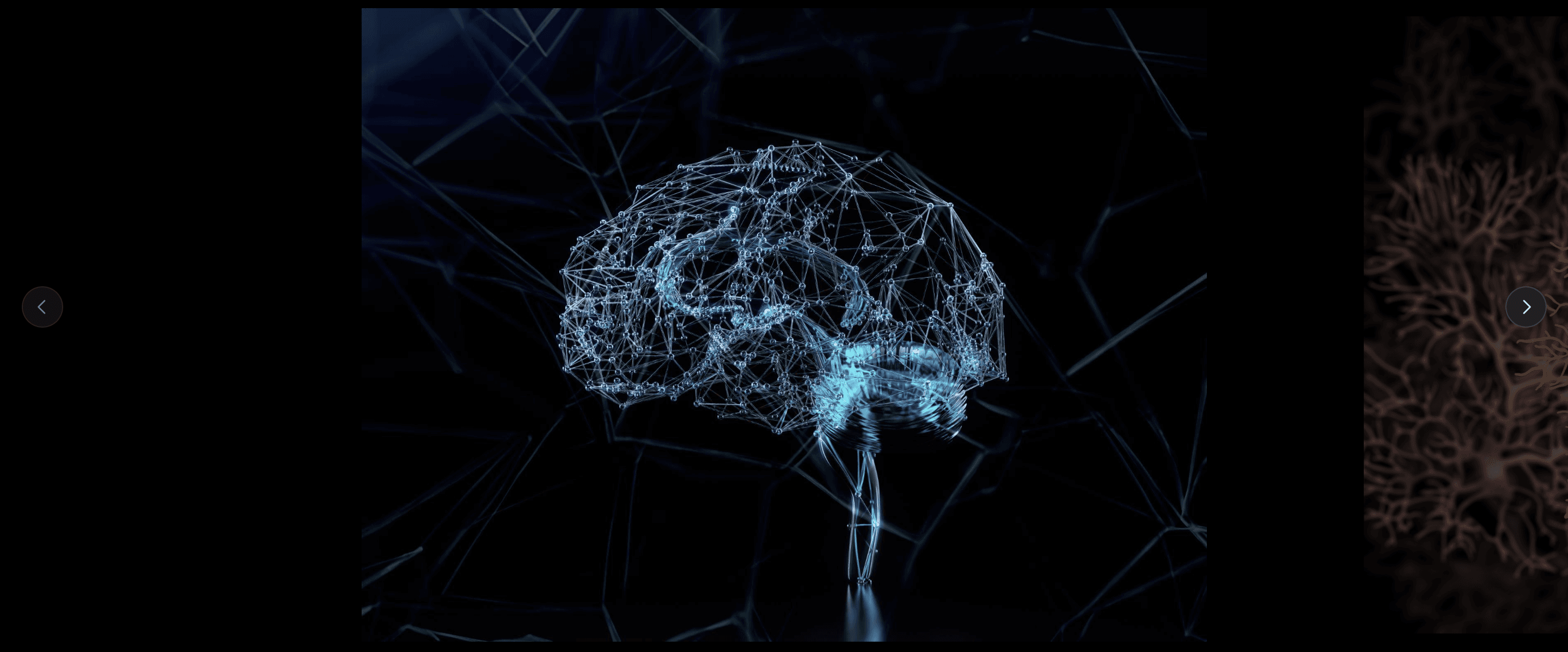 Neural Encoding of Temporal Statistics in Brain Circuits