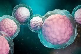 Is Spinal Cord Injury Recovery Possible with Stem Cell Treatment?