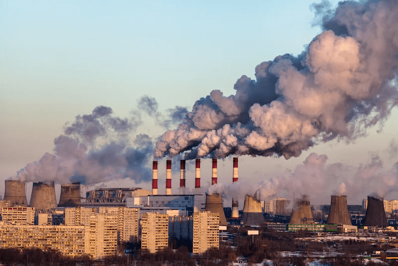 What is really affecting the environment? Exploring Toxicoepigenetics in the World